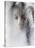 Ice Queen-Jeffrey Hummel-Laminated Photographic Print