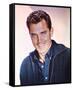 Jeffrey Hunter-null-Framed Stretched Canvas