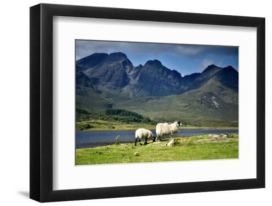 Premium Photographic Print, , large
