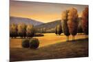 Wood Mount