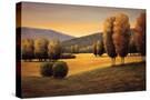 Stretched Canvas