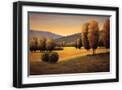 Black Frame
