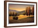 Brown Frame