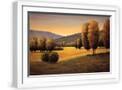 White Frame