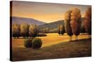Stretched Canvas