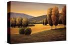 Stretched Canvas