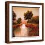 Brown Frame