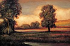 Pond at Daybreak-Jeffrey Leonard-Art Print
