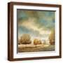 Brown Frame