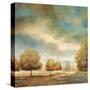 Stretched Canvas