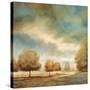 Stretched Canvas