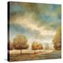 Stretched Canvas