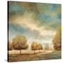 Stretched Canvas