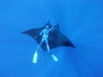 Diver Holds on to Giant Manta Ray, Mexico-Jeffrey Rotman-Photographic Print