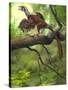 Jeholornis Prima Perched on a Tree Branch During the Early Cretaceous Period-null-Stretched Canvas