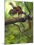 Jeholornis Prima Perched on a Tree Branch During the Early Cretaceous Period-null-Mounted Art Print