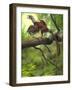 Jeholornis Prima Perched on a Tree Branch During the Early Cretaceous Period-null-Framed Art Print