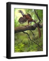 Jeholornis Prima Perched on a Tree Branch During the Early Cretaceous Period-null-Framed Art Print