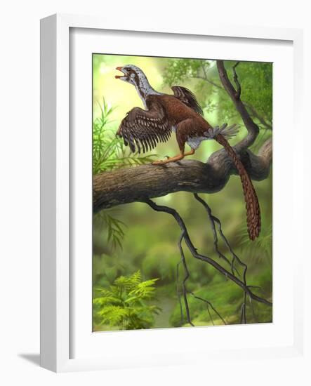 Jeholornis Prima Perched on a Tree Branch During the Early Cretaceous Period-null-Framed Art Print