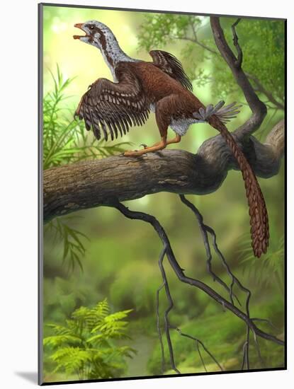 Jeholornis Prima Perched on a Tree Branch During the Early Cretaceous Period-null-Mounted Art Print