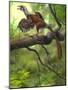 Jeholornis Prima Perched on a Tree Branch During the Early Cretaceous Period-null-Mounted Art Print