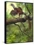 Jeholornis Prima Perched on a Tree Branch During the Early Cretaceous Period-null-Framed Stretched Canvas