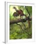 Jeholornis Prima Perched on a Tree Branch During the Early Cretaceous Period-null-Framed Art Print