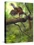 Jeholornis Prima Perched on a Tree Branch During the Early Cretaceous Period-null-Stretched Canvas