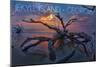 Jekyll Island, Georgia - Driftwood and Sunset-Lantern Press-Mounted Art Print