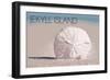 Jekyll Island, Georgia - Sand Dollar-Lantern Press-Framed Art Print