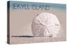 Jekyll Island, Georgia - Sand Dollar-Lantern Press-Stretched Canvas