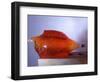 Jello Impact-Alan Sailer-Framed Photographic Print