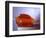 Jello Impact-Alan Sailer-Framed Photographic Print