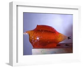 Jello Impact-Alan Sailer-Framed Photographic Print