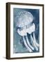 Jelly 1-Stellar Design Studio-Framed Art Print