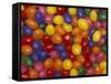 Jelly Beans, Washington, USA-Jamie & Judy Wild-Framed Stretched Canvas