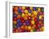 Jelly Beans, Washington, USA-Jamie & Judy Wild-Framed Premium Photographic Print