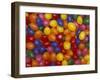 Jelly Beans, Washington, USA-Jamie & Judy Wild-Framed Photographic Print