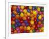 Jelly Beans, Washington, USA-Jamie & Judy Wild-Framed Photographic Print