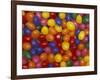 Jelly Beans, Washington, USA-Jamie & Judy Wild-Framed Photographic Print