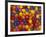 Jelly Beans, Washington, USA-Jamie & Judy Wild-Framed Photographic Print