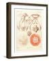 Jelly Fish, Artwork-Mehau Kulyk-Framed Photographic Print