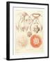 Jelly Fish, Artwork-Mehau Kulyk-Framed Photographic Print