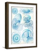 Jelly Fish-Ernst Haeckel-Framed Art Print