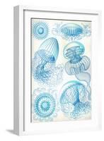 Jelly Fish-Ernst Haeckel-Framed Art Print