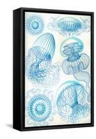 Jelly Fish-Ernst Haeckel-Framed Stretched Canvas