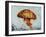 Jelly fish-Sydney Edmunds-Framed Giclee Print