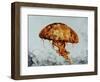 Jelly fish-Sydney Edmunds-Framed Premium Giclee Print