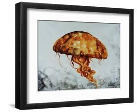 Jelly fish-Sydney Edmunds-Framed Premium Giclee Print