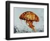 Jelly fish-Sydney Edmunds-Framed Premium Giclee Print